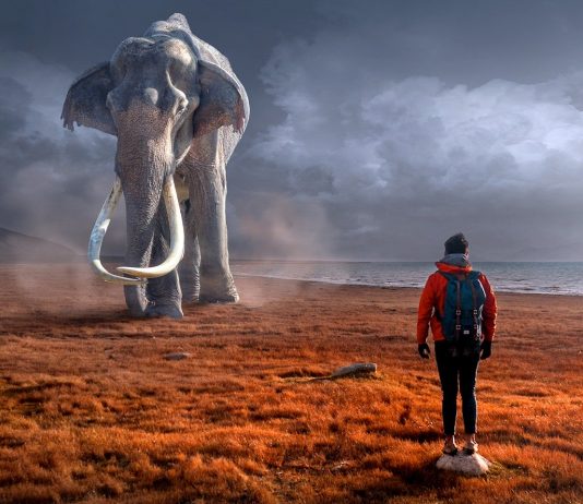 Aprende a cómo dividir historias que generen valor, y cómo manejar el agilísimo en un juego rápido y divertido