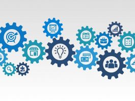 Programas, Programas y Proyectos